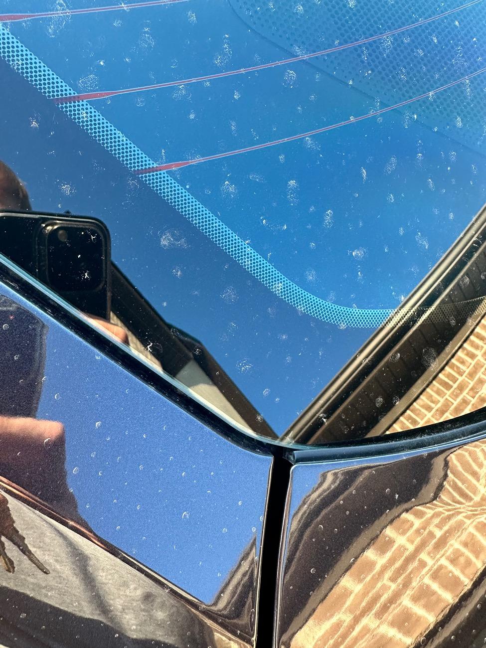 S650 Mustang Is my Mustang / Dark Horse missing a rear windshield gasket? IMG_8662