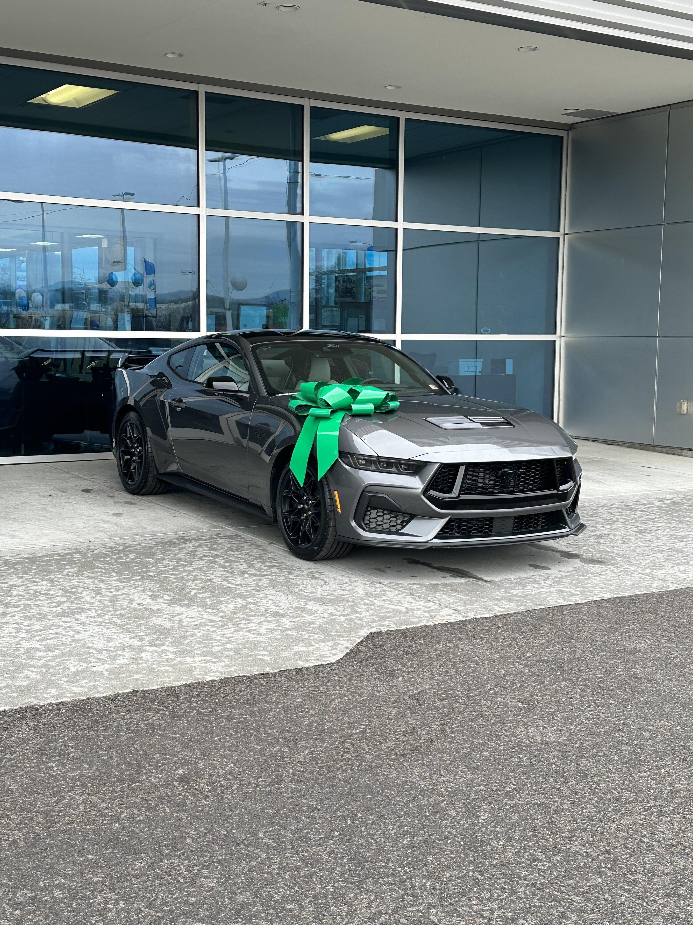 S650 Mustang Official CARBONIZED GRAY Mustang S650 Thread IMG_8673