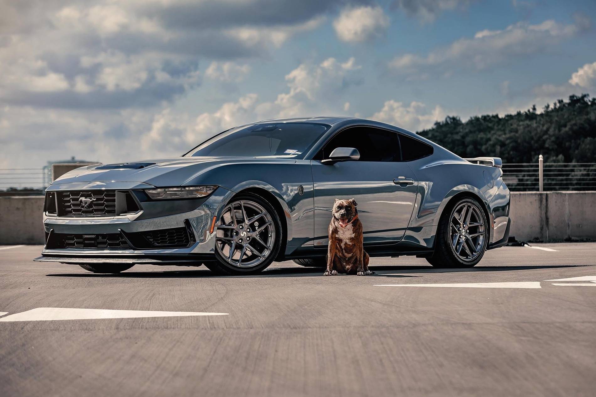 S650 Mustang Share your Fav S650 shot IMG_8677