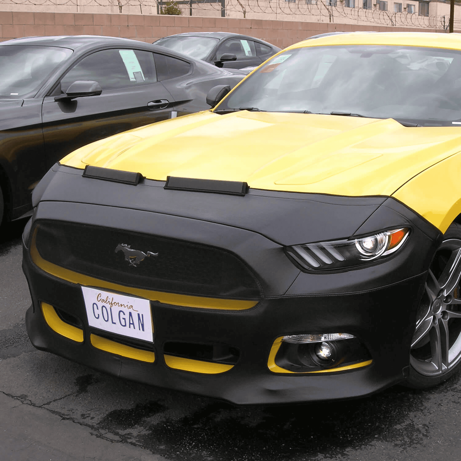 S650 Mustang Is Paint Protection Film (PPF) worth it? IMG_8742