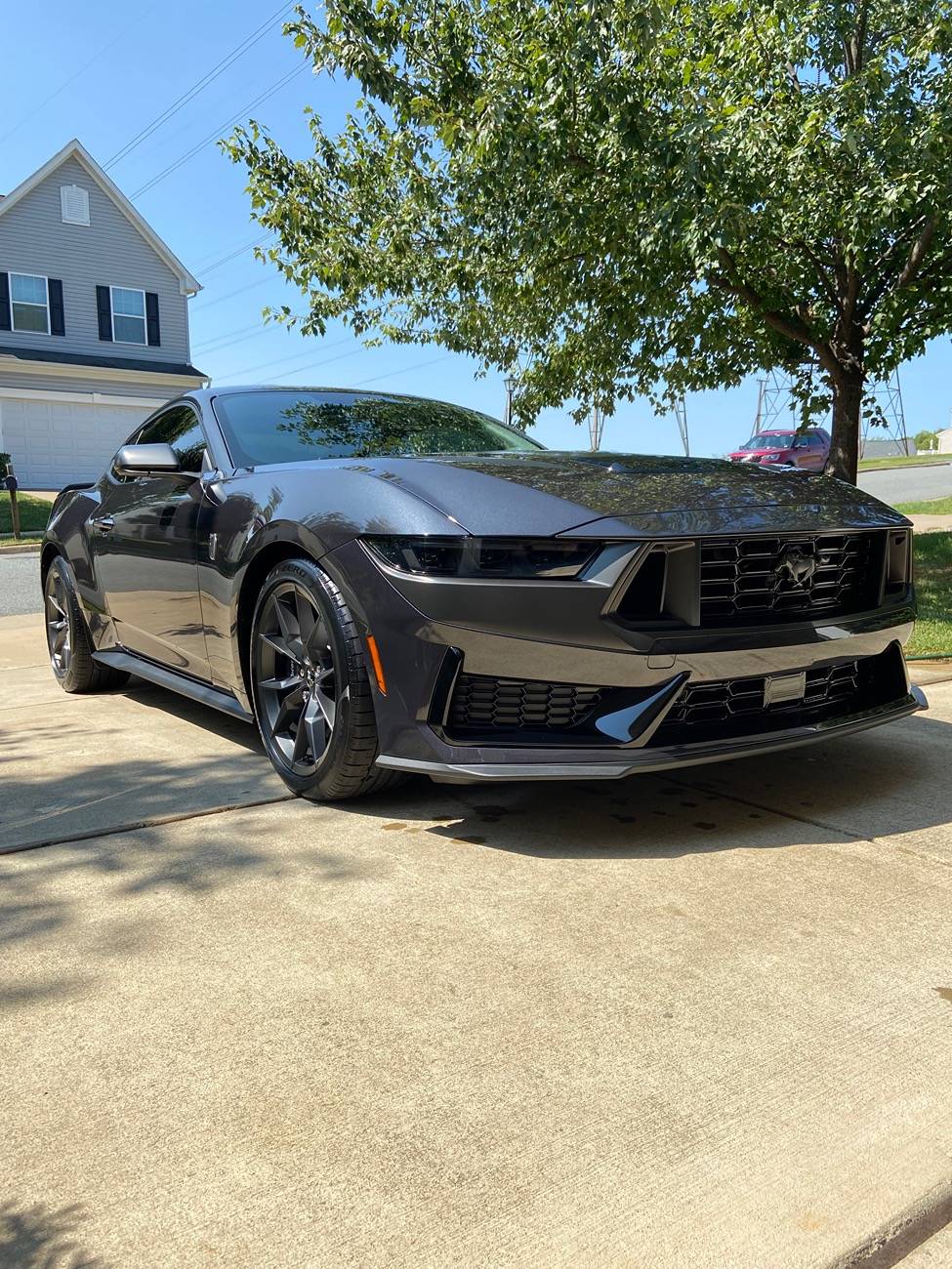 S650 Mustang What did you do to your S650 Mustang today?? 🙋🏻‍♂️ IMG_8876
