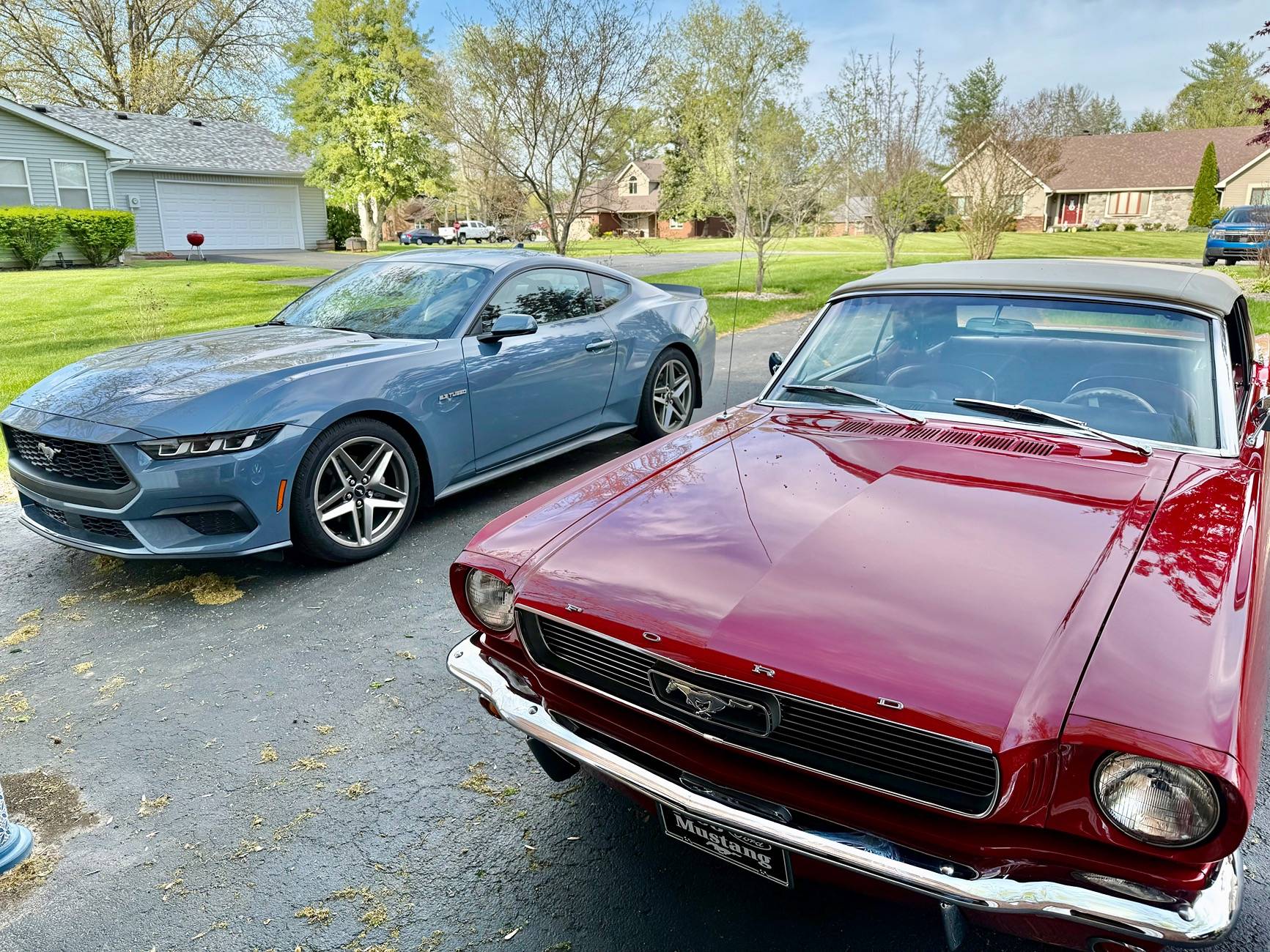 S650 Mustang What do you think the average age for owning a Mustang is? IMG_9030