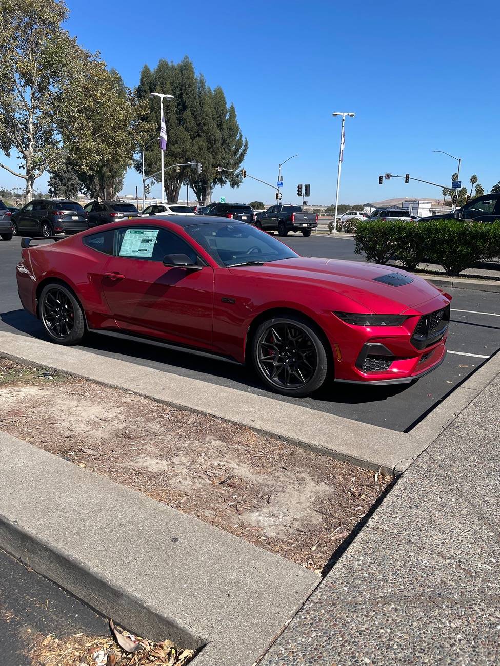 S650 Mustang Official RAPID RED Mustang S650 Thread IMG_9061