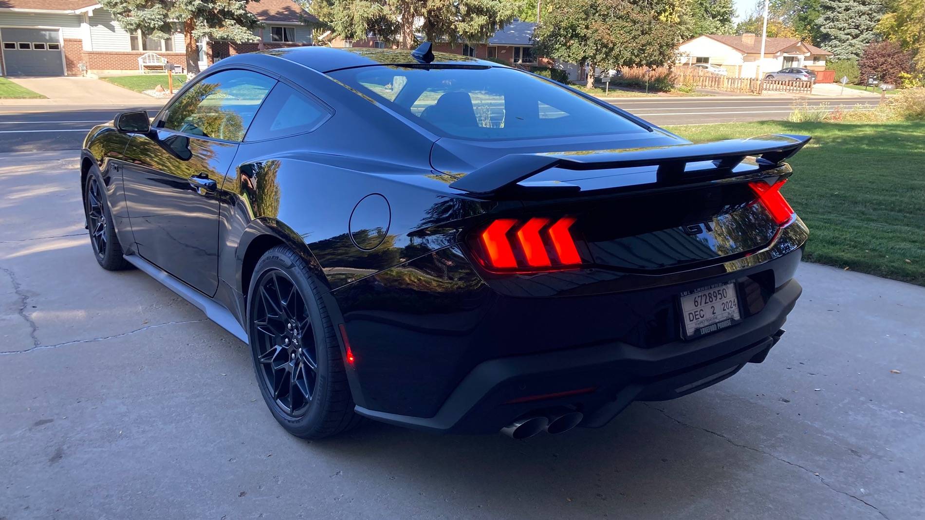 S650 Mustang Nice Rear End (Picture Thread) IMG_9165