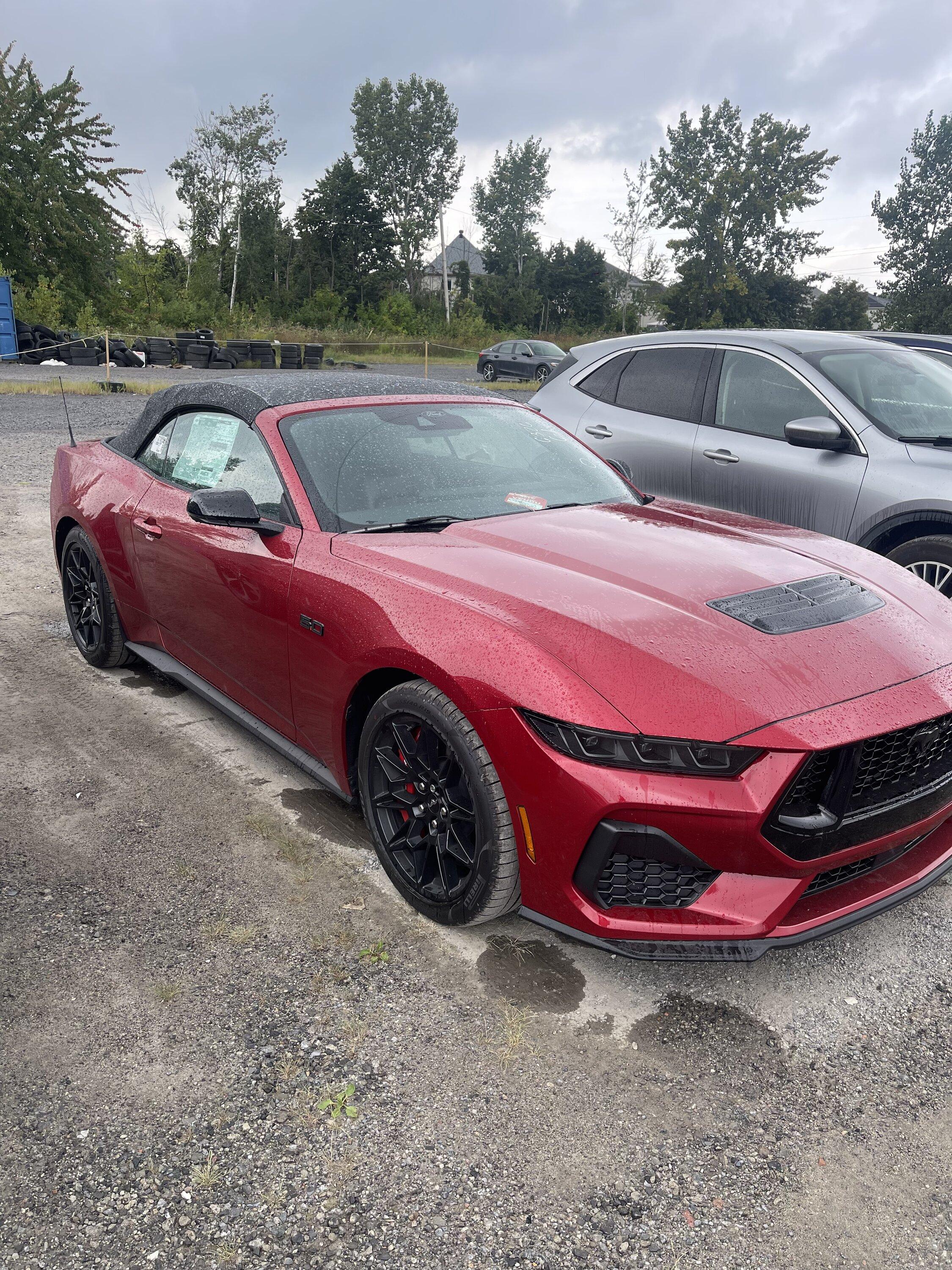 S650 Mustang I will do my own delivery IMG_9313