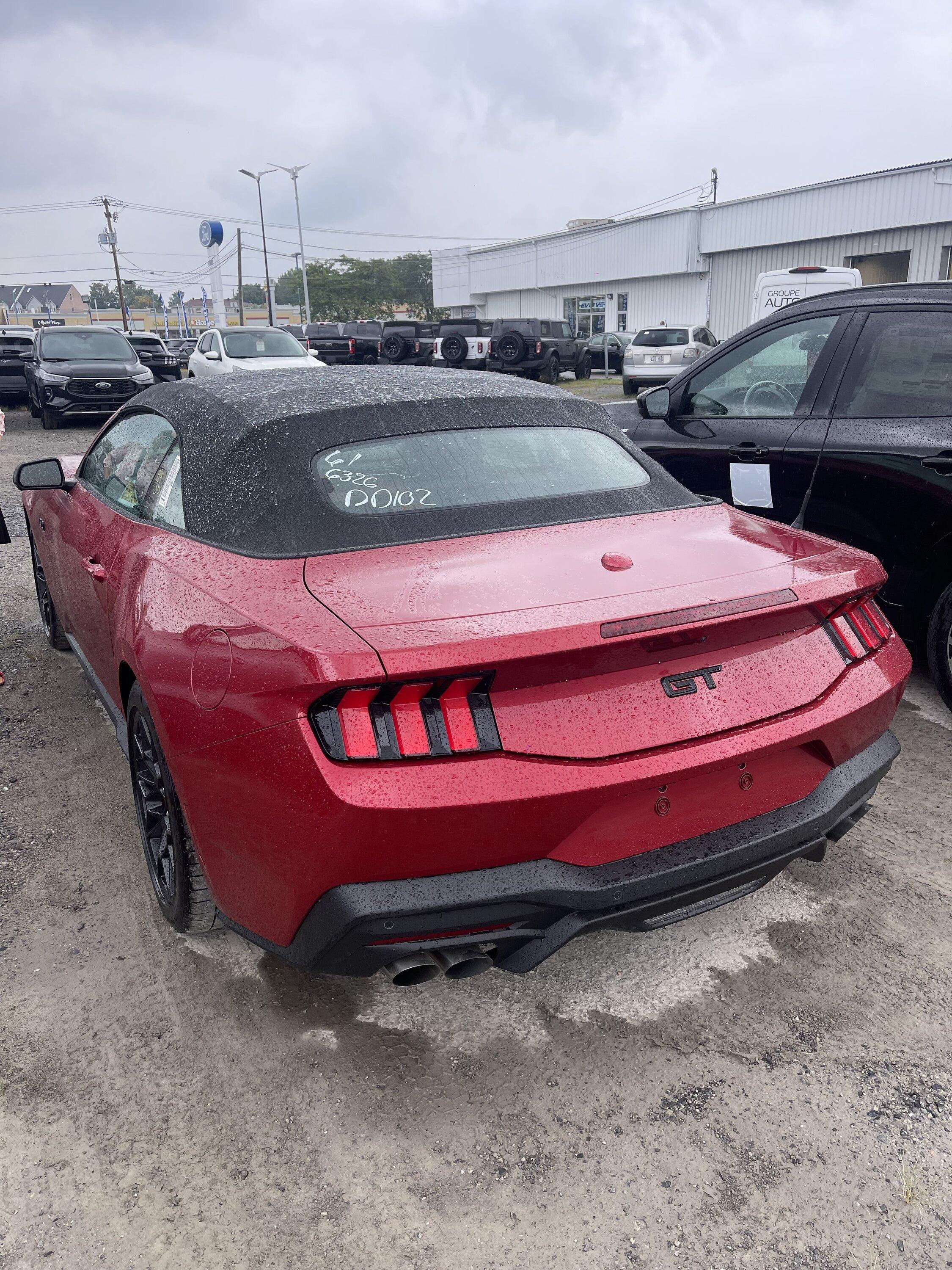 S650 Mustang I will do my own delivery IMG_9315