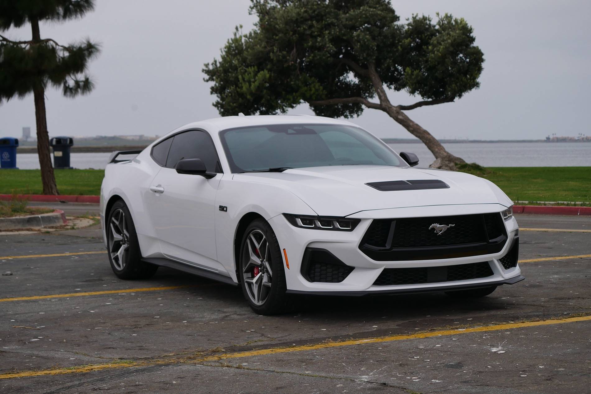 S650 Mustang Should I paint my roof black? IMG_9420