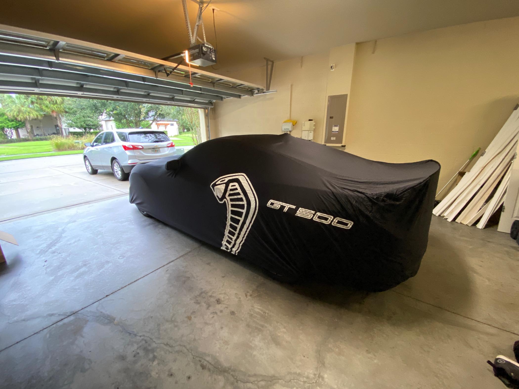 S650 Mustang Blue outdoor cover for the Dark Horse now updated with photos IMG_9450