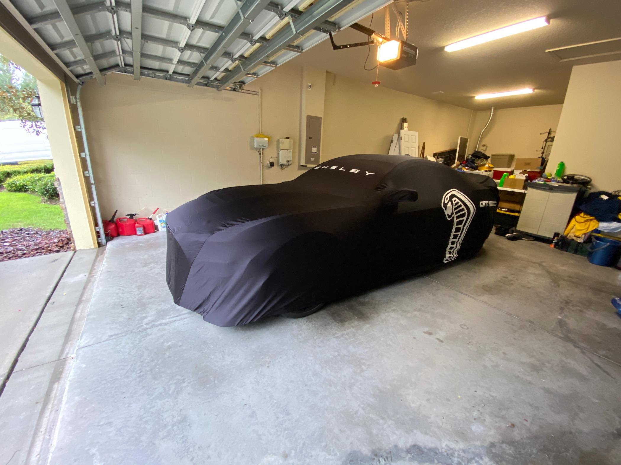 S650 Mustang Blue outdoor cover for the Dark Horse now updated with photos IMG_9451