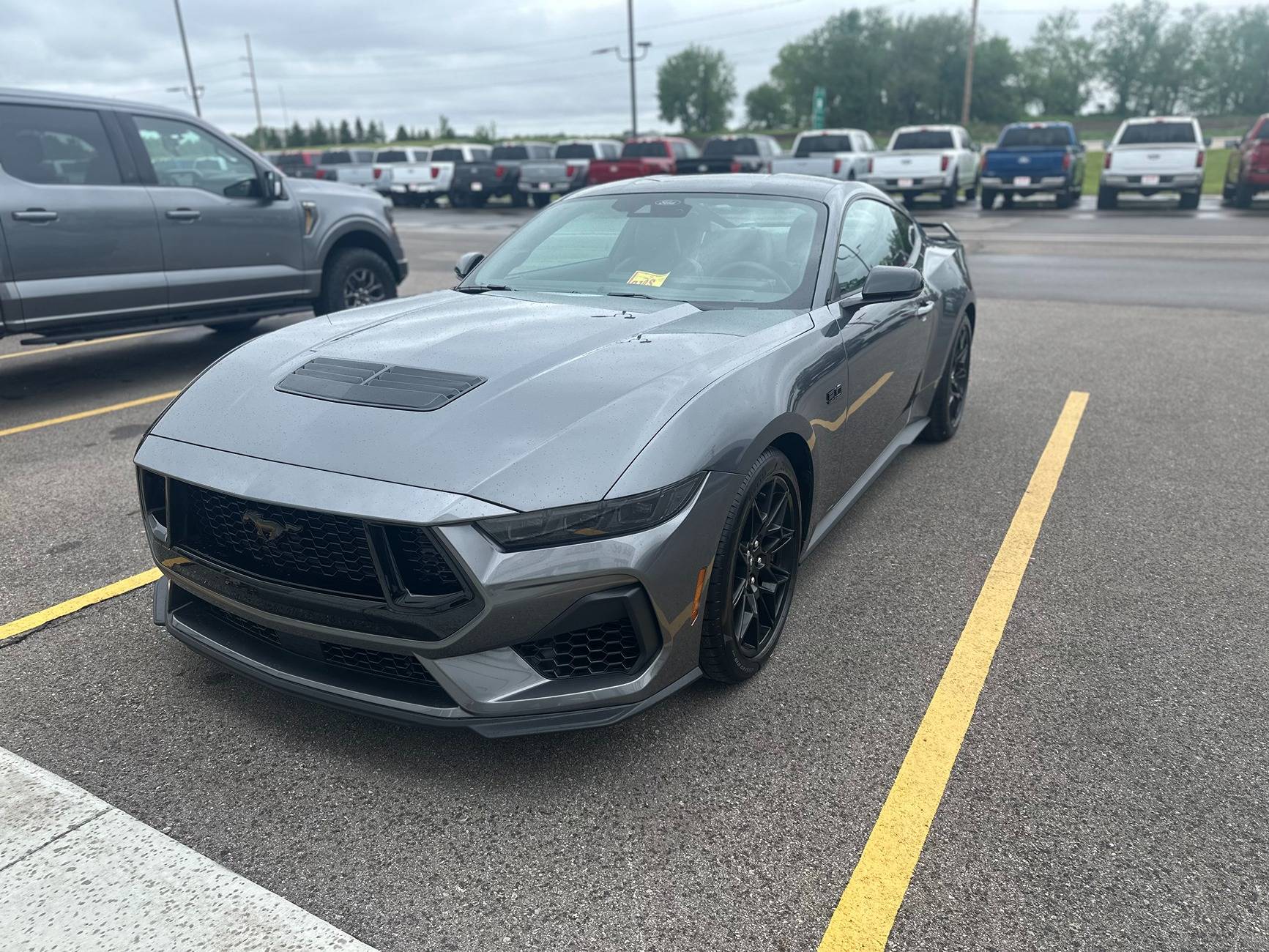 S650 Mustang AWESOME Pricing on 2025 Mustangs- 4% Below Invoice @ Granger Motors!! IMG_9484
