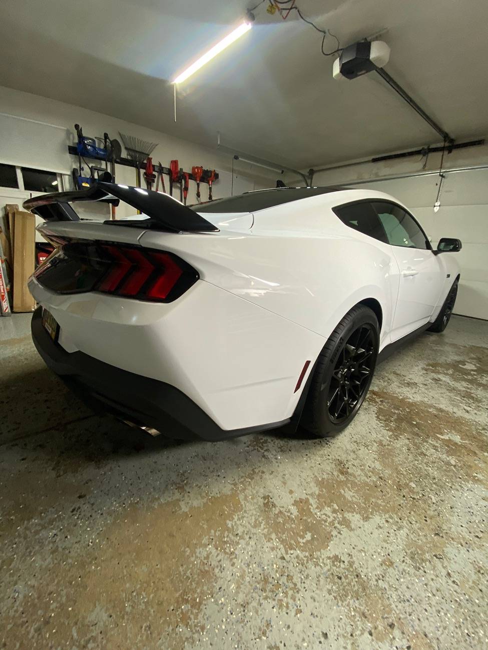 S650 Mustang Nice Rear End (Picture Thread) IMG_9488
