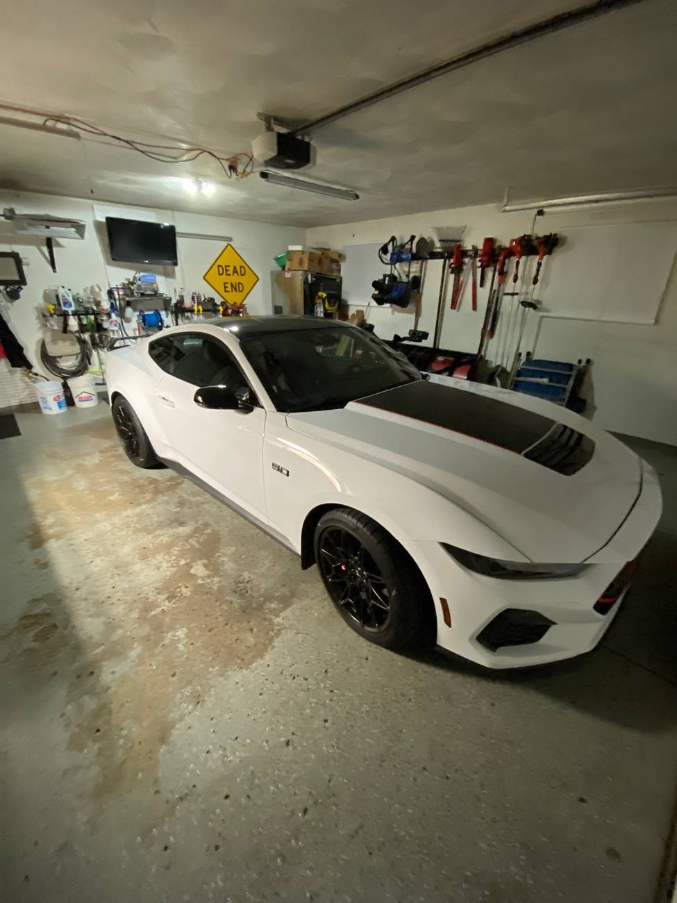 S650 Mustang Nice Rear End (Picture Thread) IMG_9566