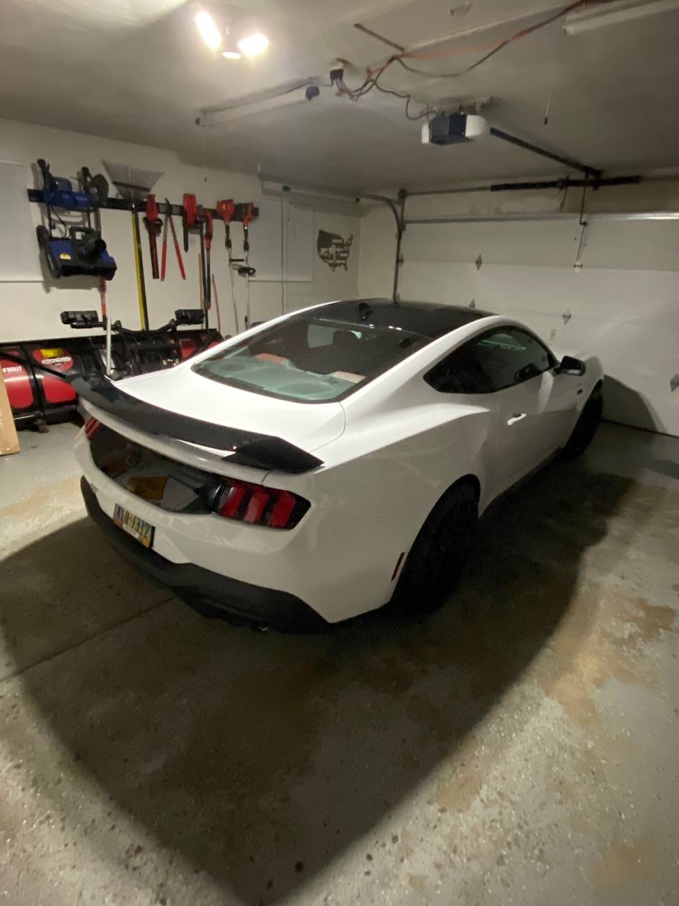 S650 Mustang Nice Rear End (Picture Thread) IMG_9570