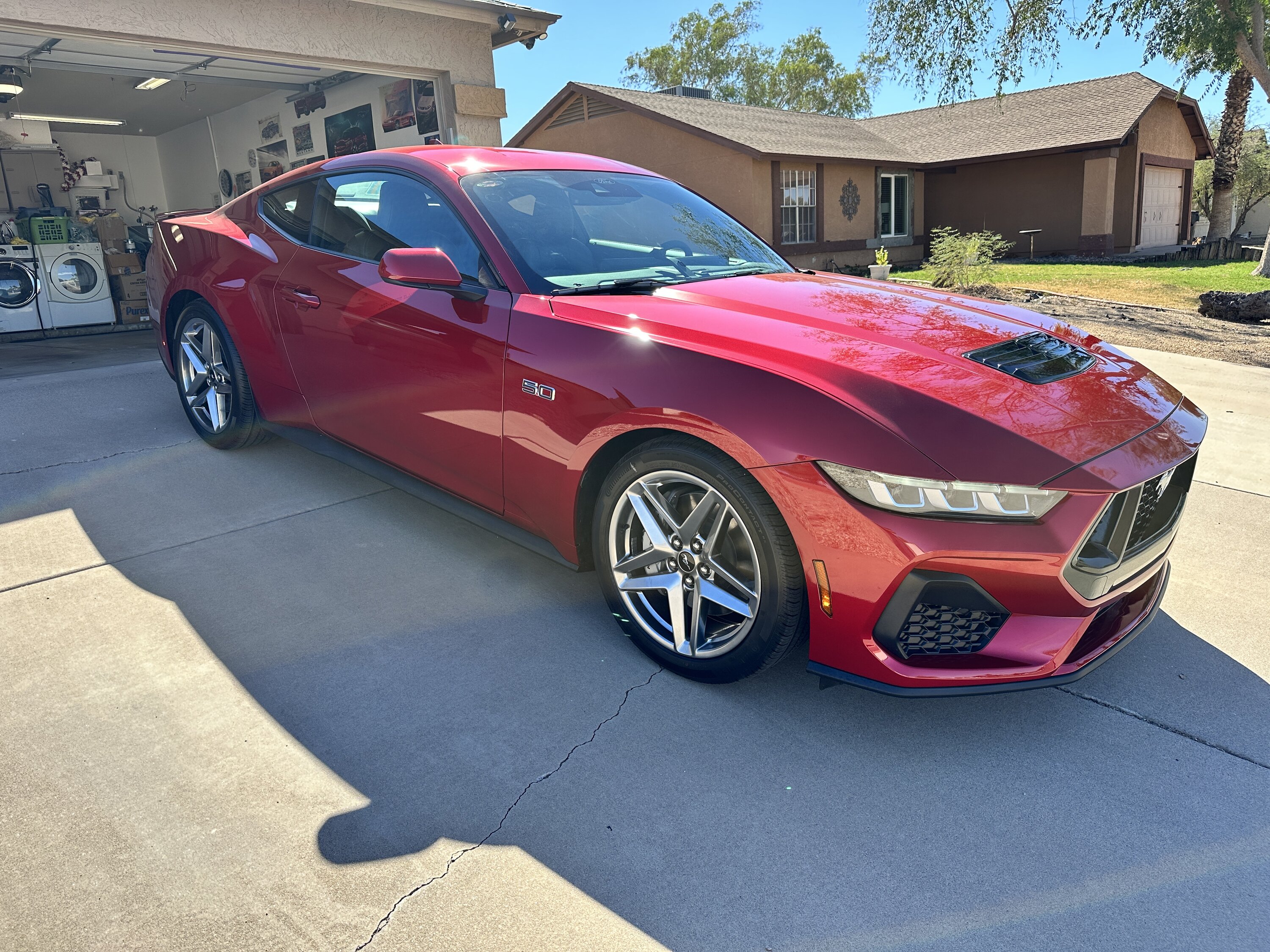 S650 Mustang Official RAPID RED Mustang S650 Thread IMG_9570.JPG
