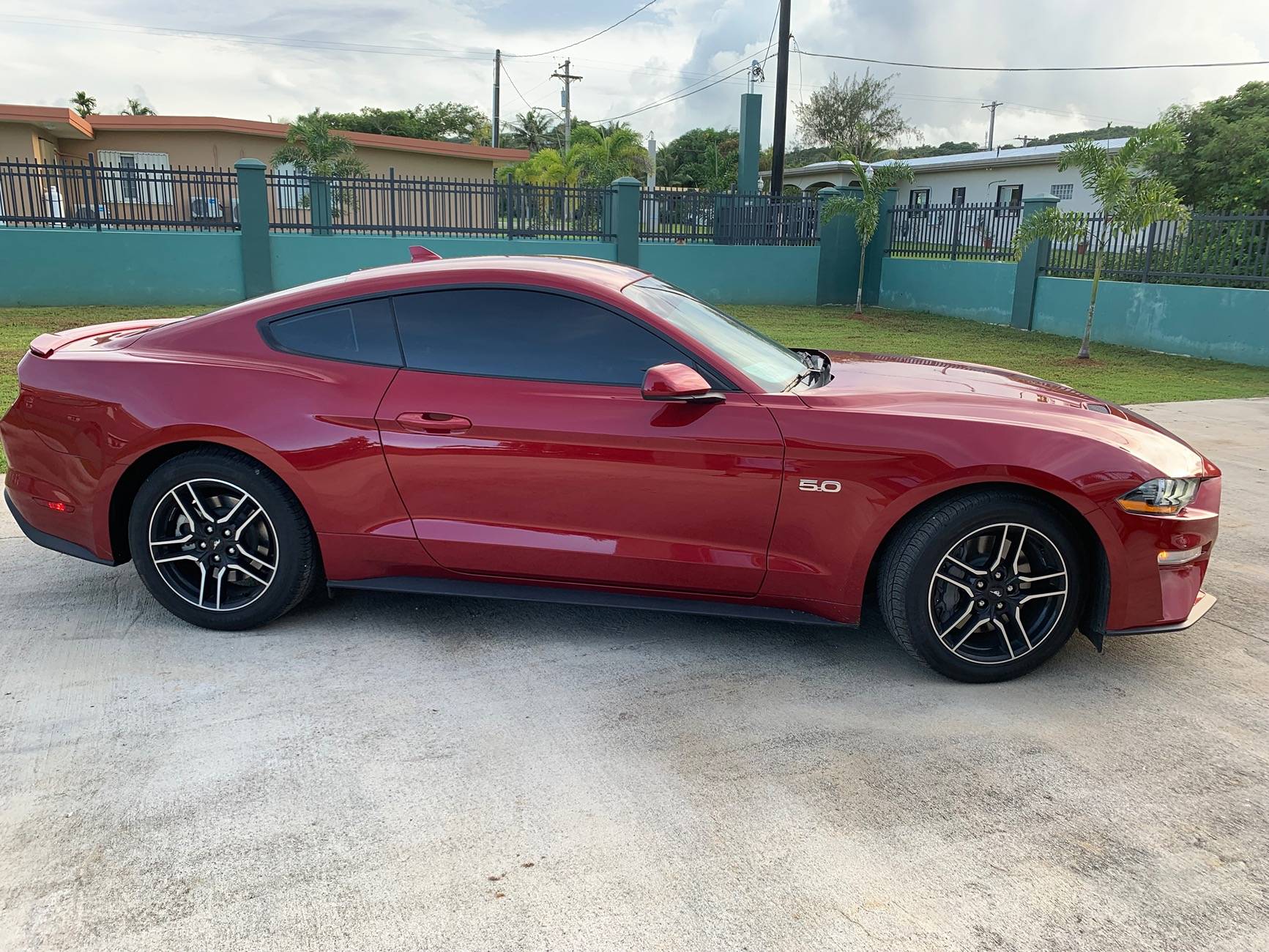 S650 Mustang Introductions & Welcome Thread 👋 IMG_9752