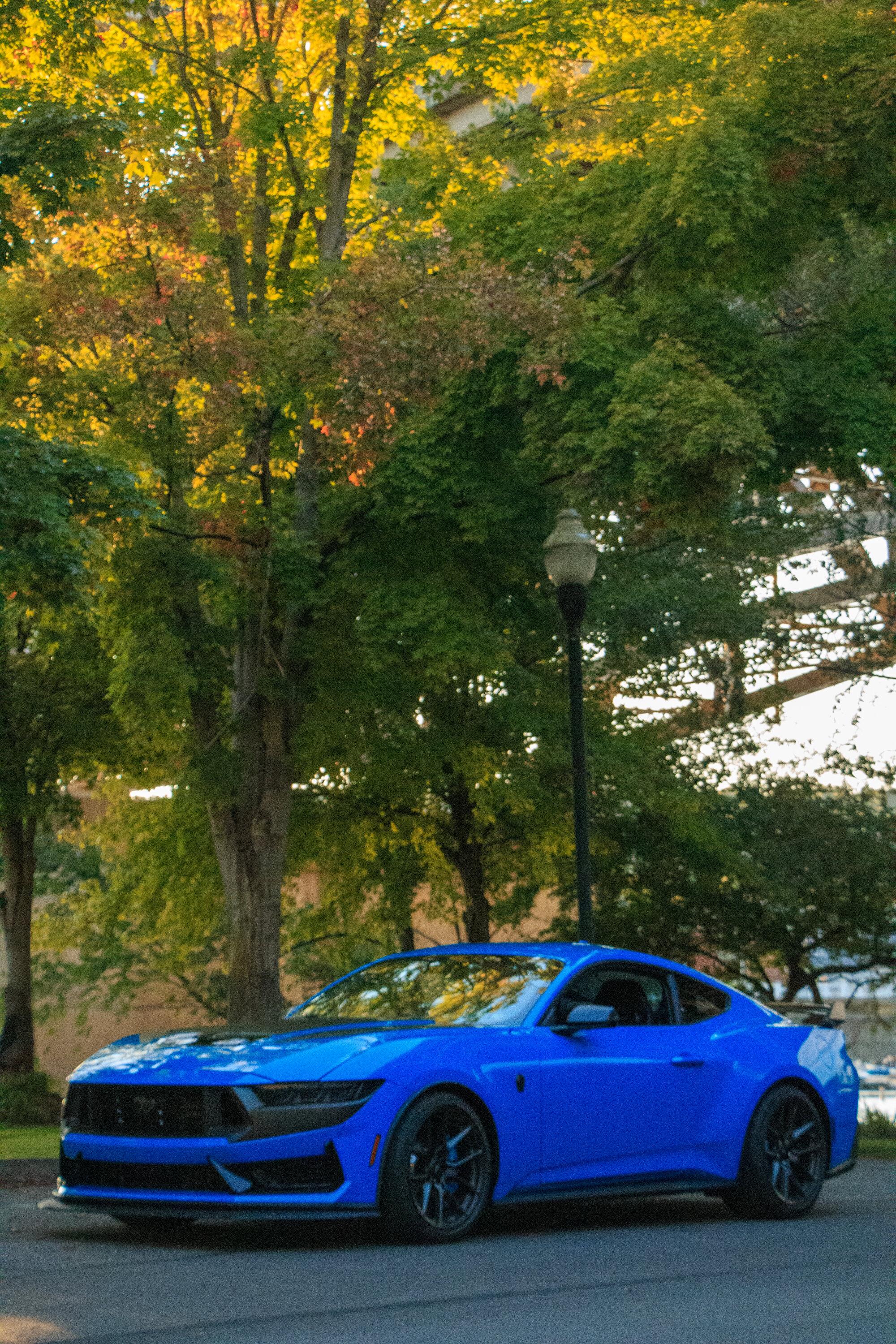 S650 Mustang Official GRABBER BLUE Mustang S650 Thread IMG_9790