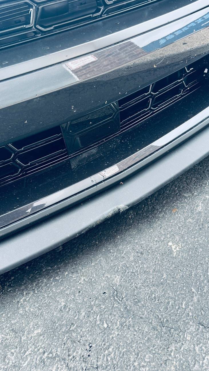 S650 Mustang Introductions & Welcome Thread 👋 IMG_9947