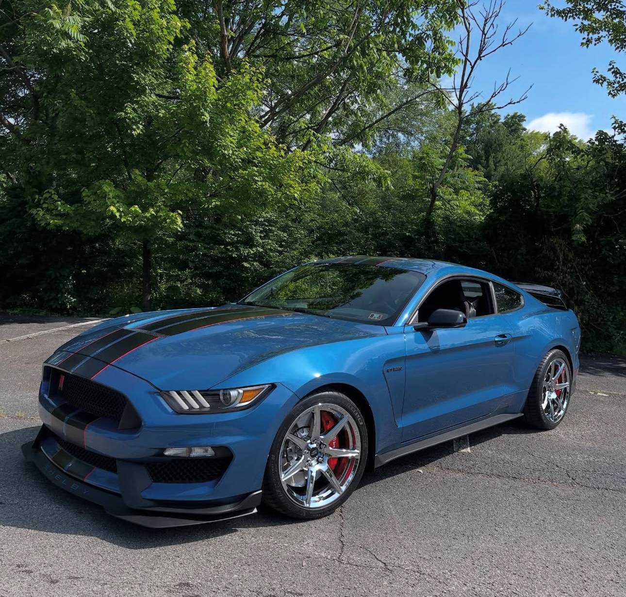 S650 Mustang M7 M7R S650 Mustang EcoBoost GT PP 5.0 Dark Horse 19" & 20" Sizes - Custom-Tailored IMG_E7463.JPG