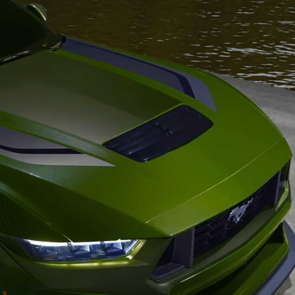S650 Mustang Cool Daily Random S650 Mustang Pics -- Post Yours! 📸 KQm8kw8UJmg6bgqT-aZHXg3vnkeyHBJRnNx2WnO3vFkx9_TDYA