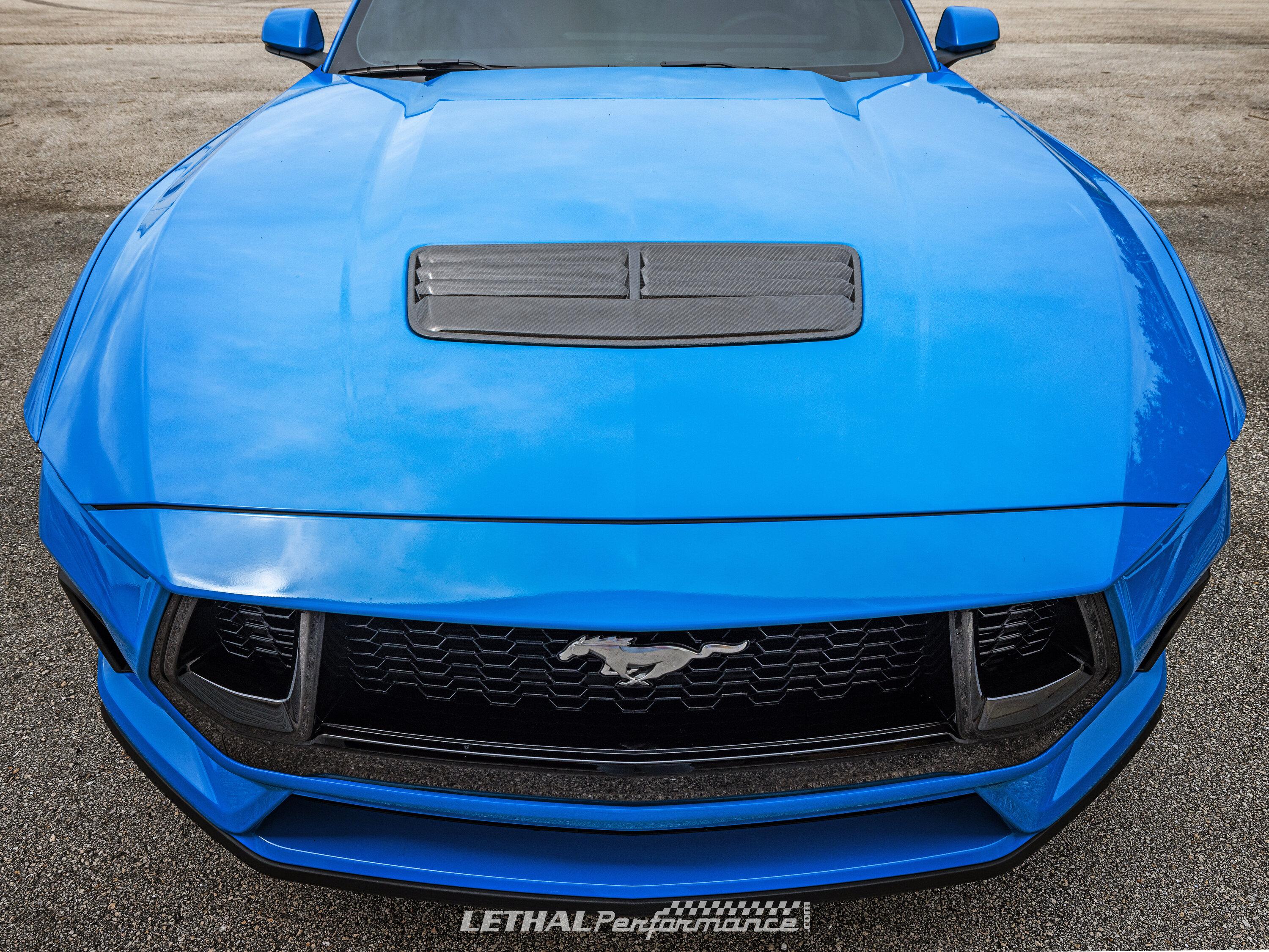 lp2024carbon3.jpg