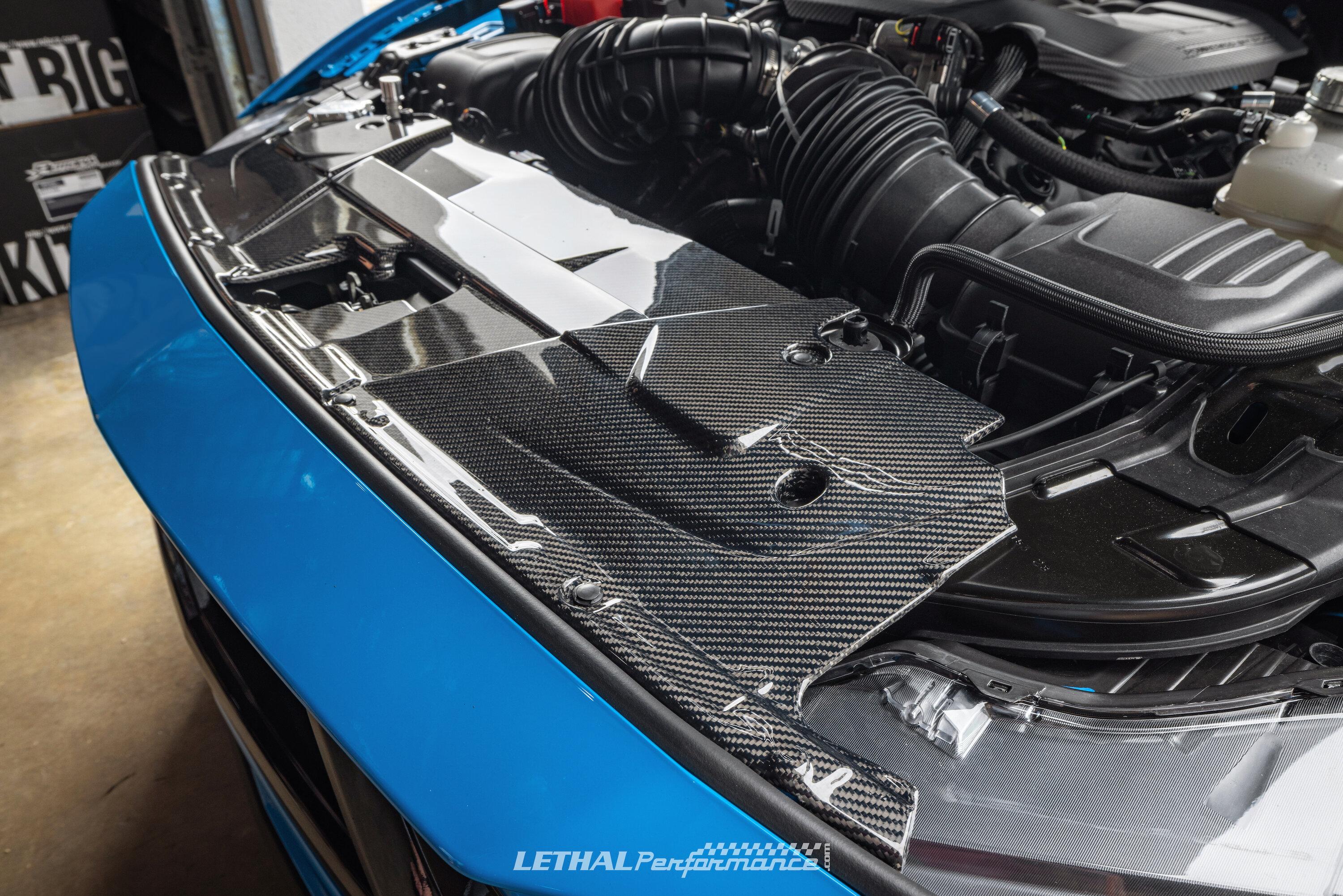 lp2024carbon5.jpg
