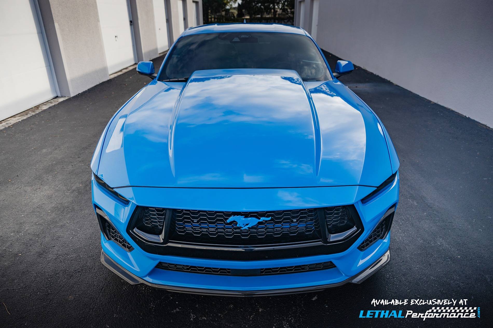 S650 Mustang 2024 Cervinis Cowl Hood is HERE!! LTHL7783