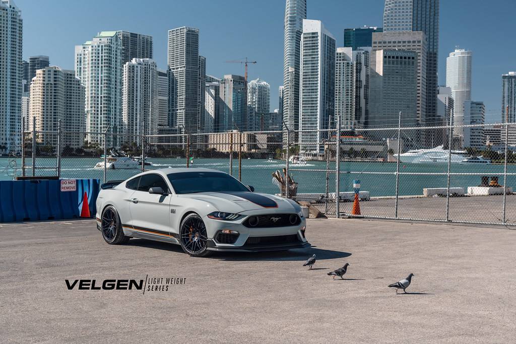 Mach 1 Mustang - VF9 - Gloss Black_9.jpeg