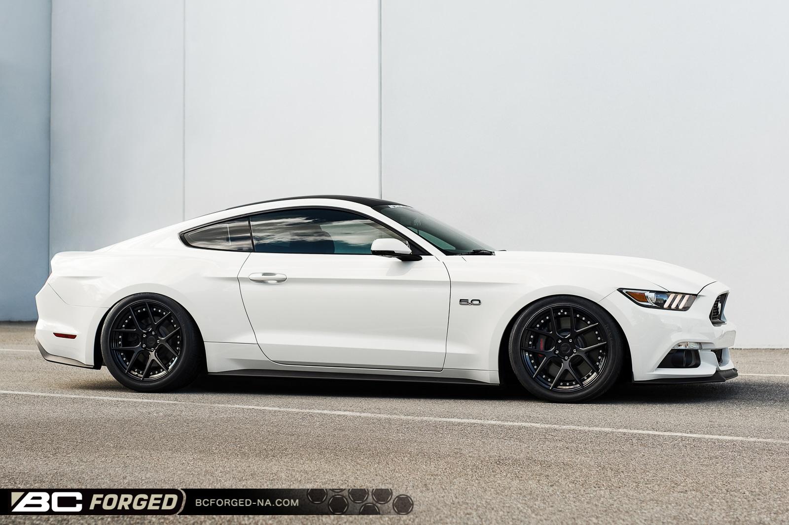 meaty-mustang-stn-blk-gls-blk-19-hcs02s-00001.jpeg