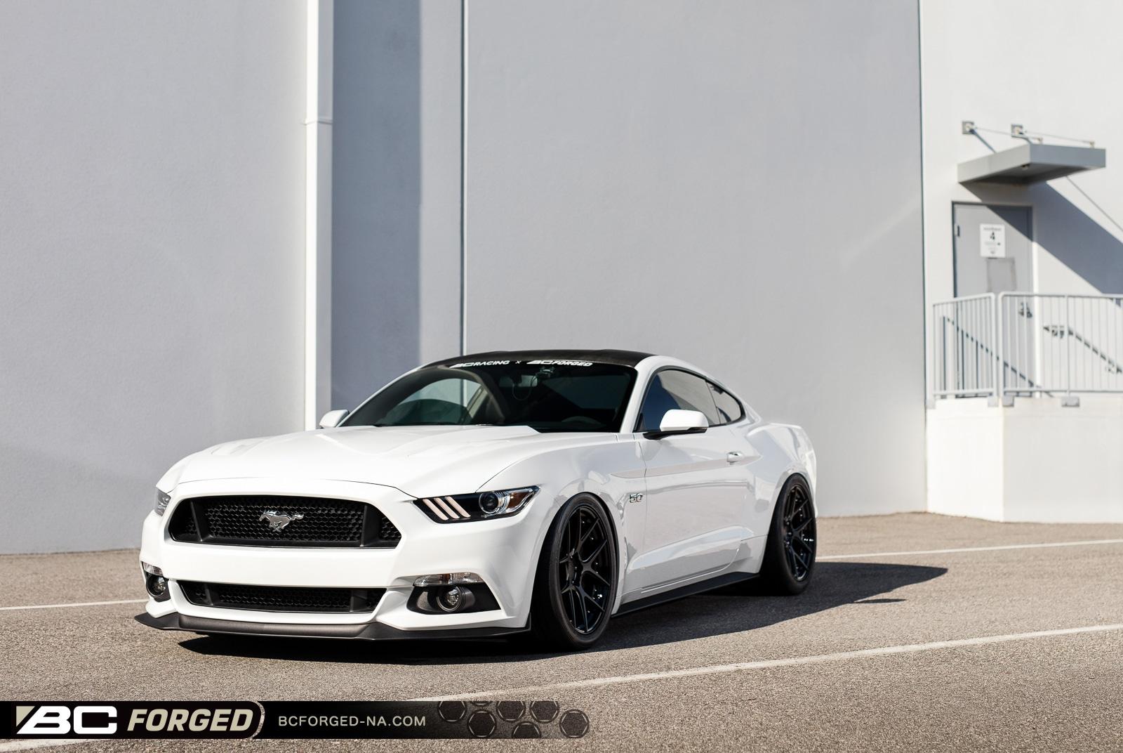 meaty-mustang-stn-blk-gls-blk-19-hcs02s-00004.jpeg