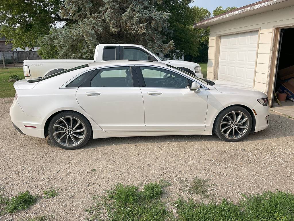 S650 Mustang From This to That S650 (Photos Edition) mkzsmall
