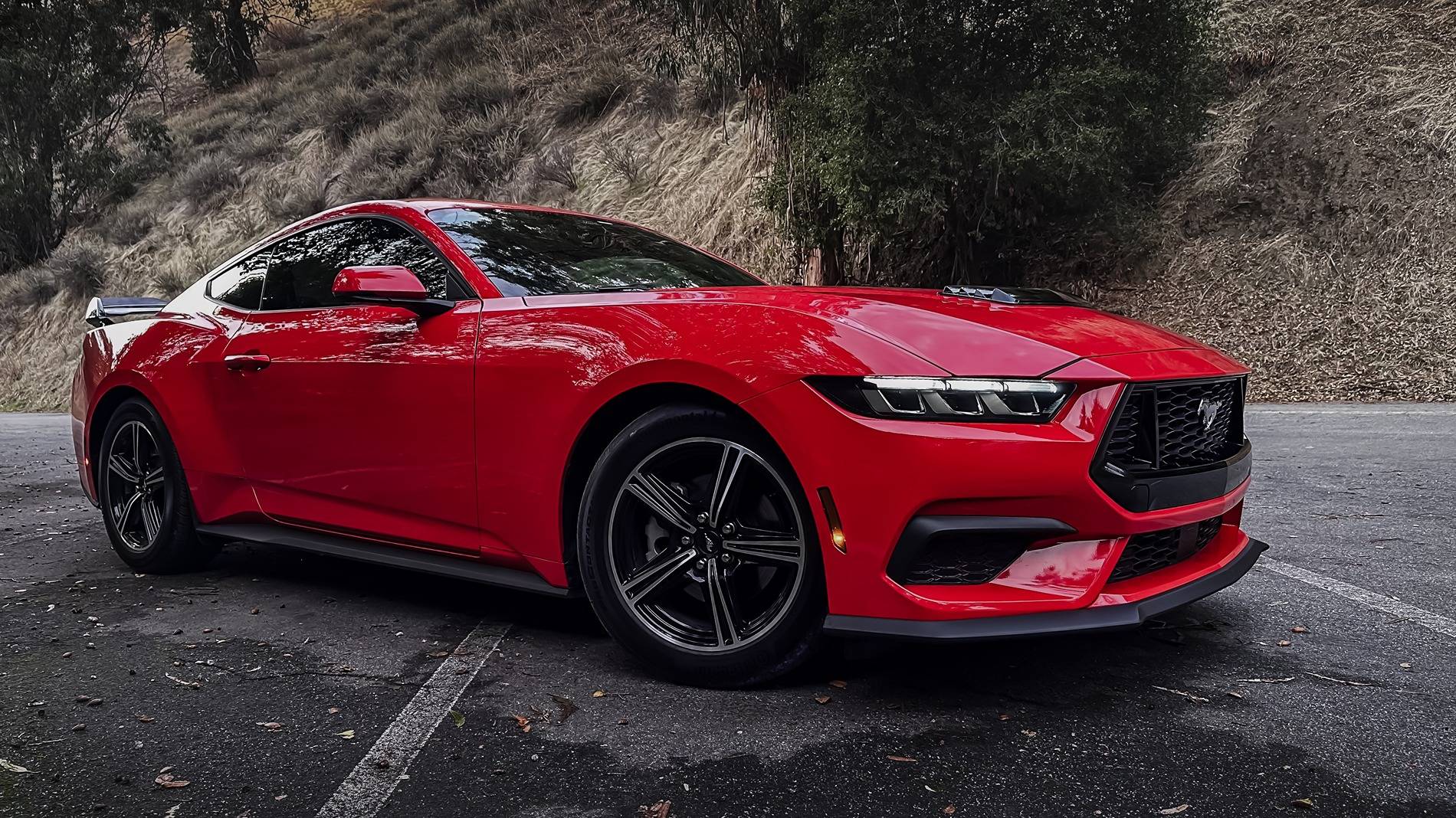 S650 Mustang Photoshoot of my Race Red S650 in Sierra Mountains Mustand moody - 1