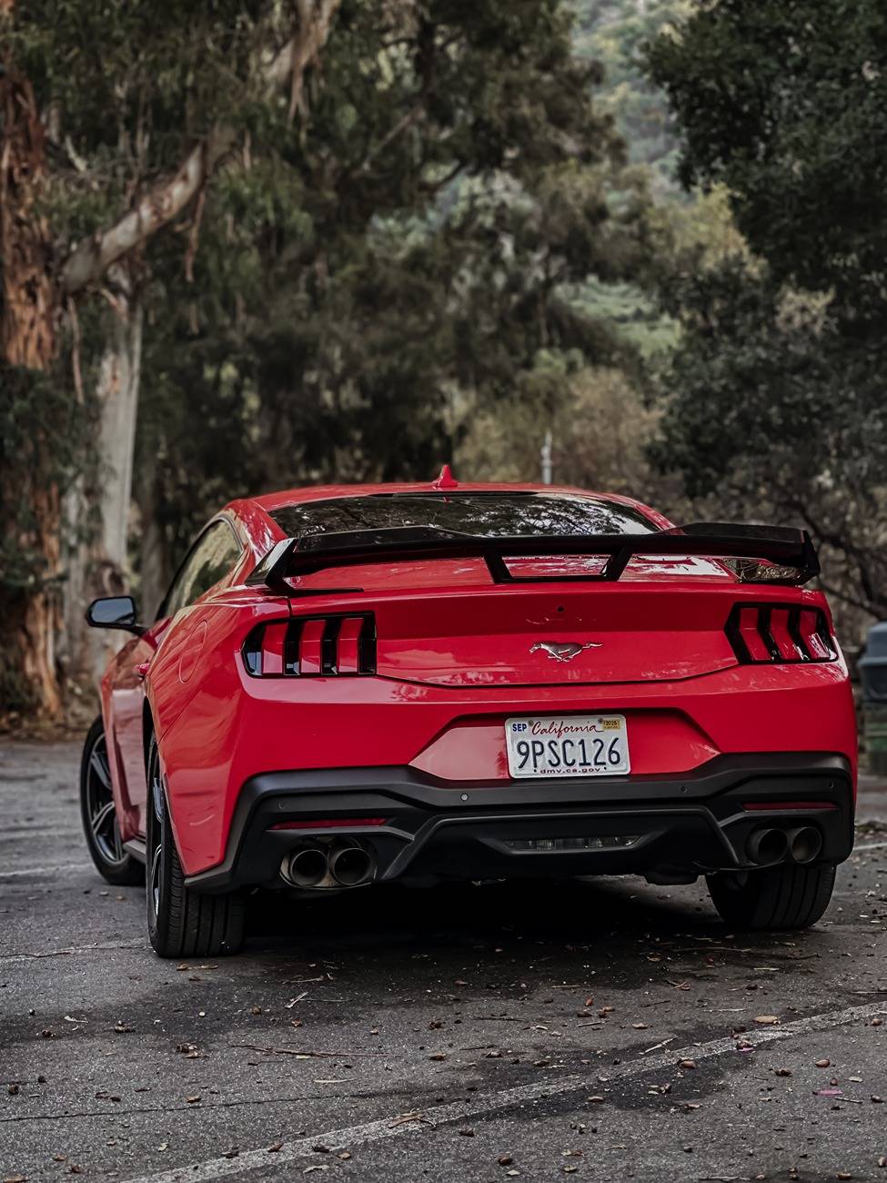 S650 Mustang Photoshoot of my Race Red S650 in Sierra Mountains Mustand moody - 2