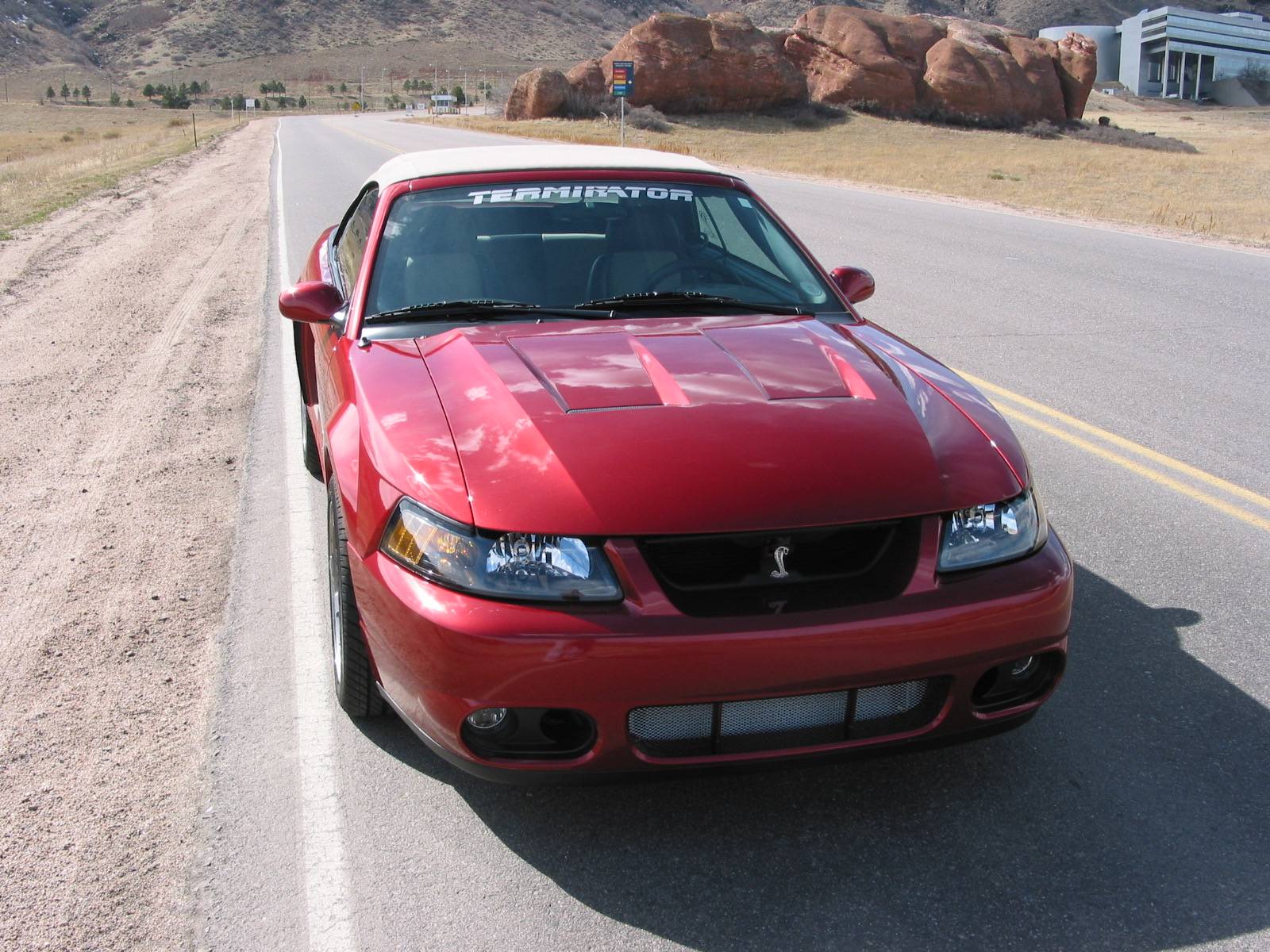 S650 Mustang Who's trying to race you? Mustang Cobra008