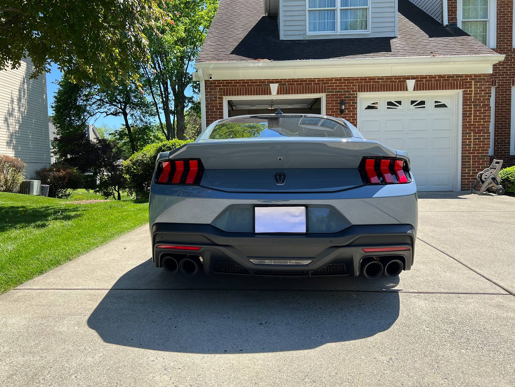 Mustang DH 1.jpg