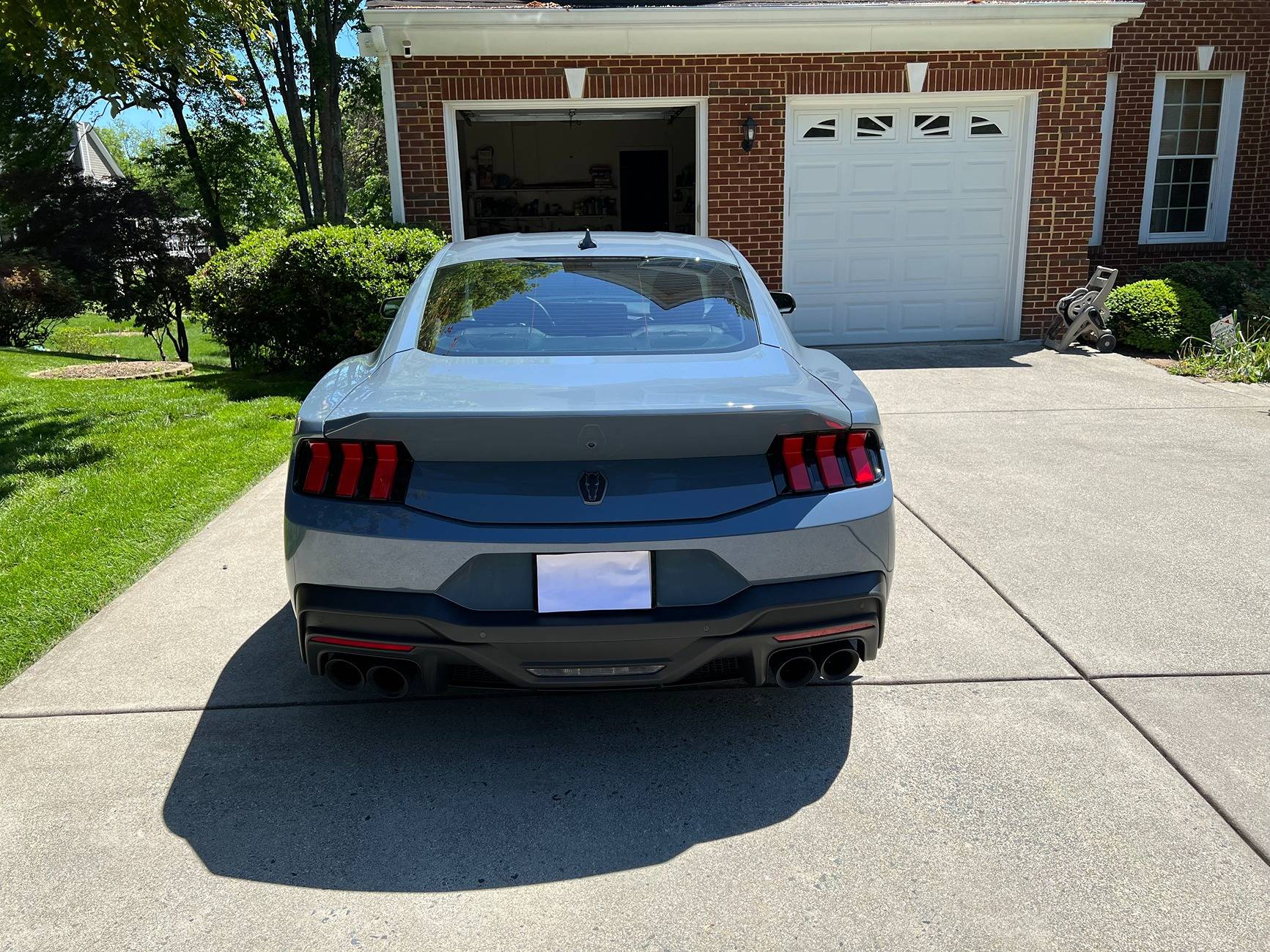 Mustang DH 2.jpg