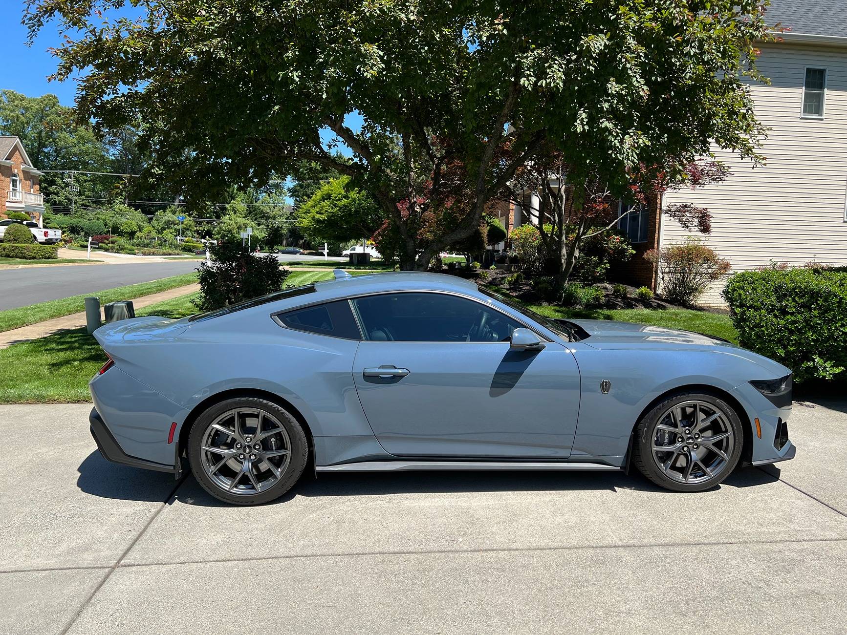 Mustang DH 3.jpg