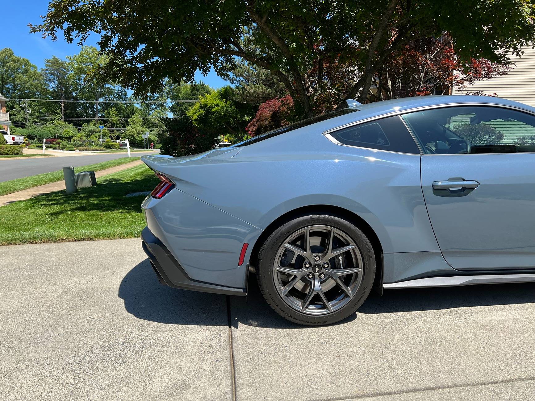 Mustang DH 4.jpg