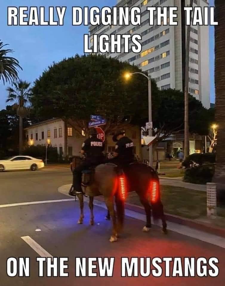 S650 Mustang The official unofficial meme thread Mustang Tail Lights