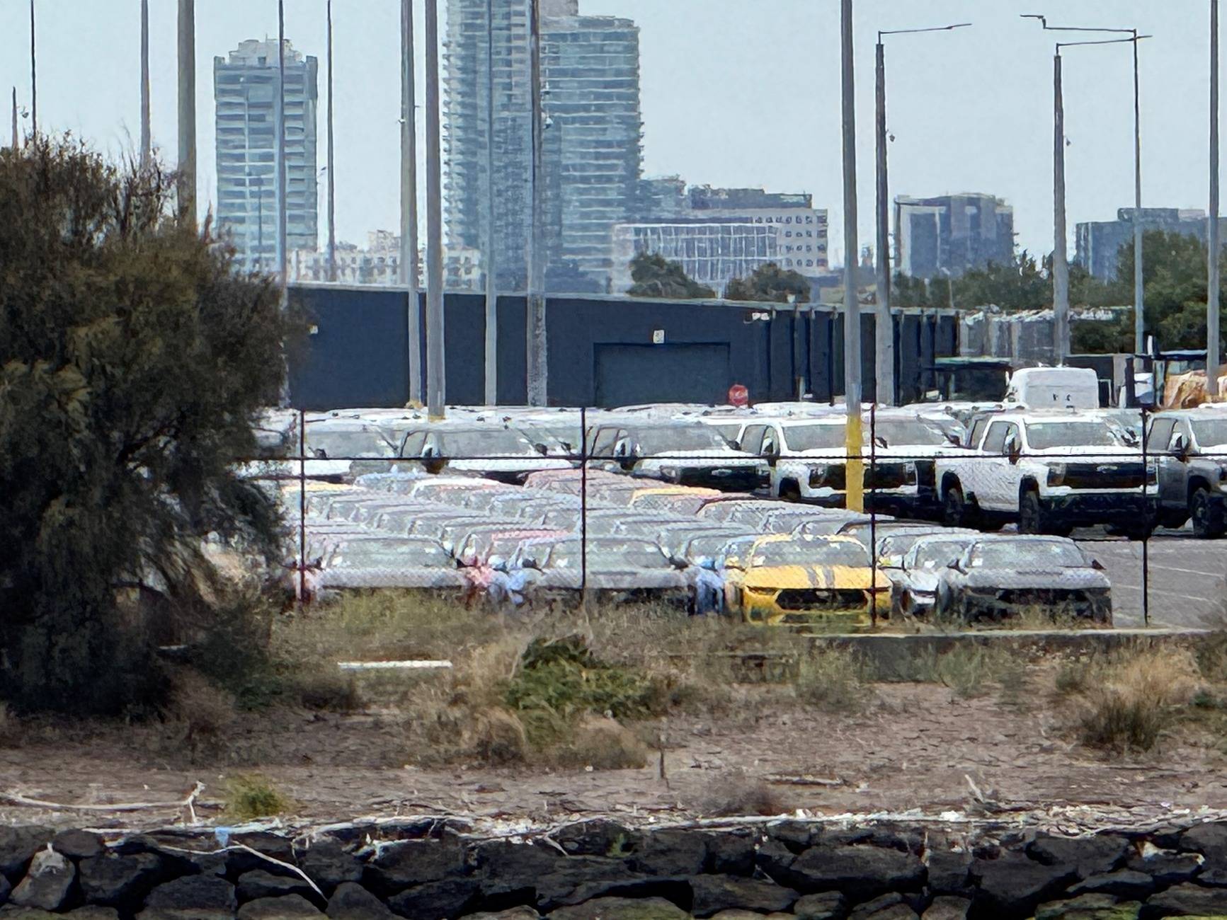 S650 Mustang Car carriers a new sight at Port of Newcastle Mustangs at Port of Melb 2.2.25