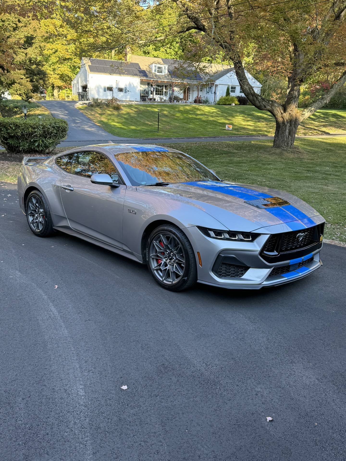 S650 Mustang Official ICONIC SILVER Mustang S650 Thread mXIg07