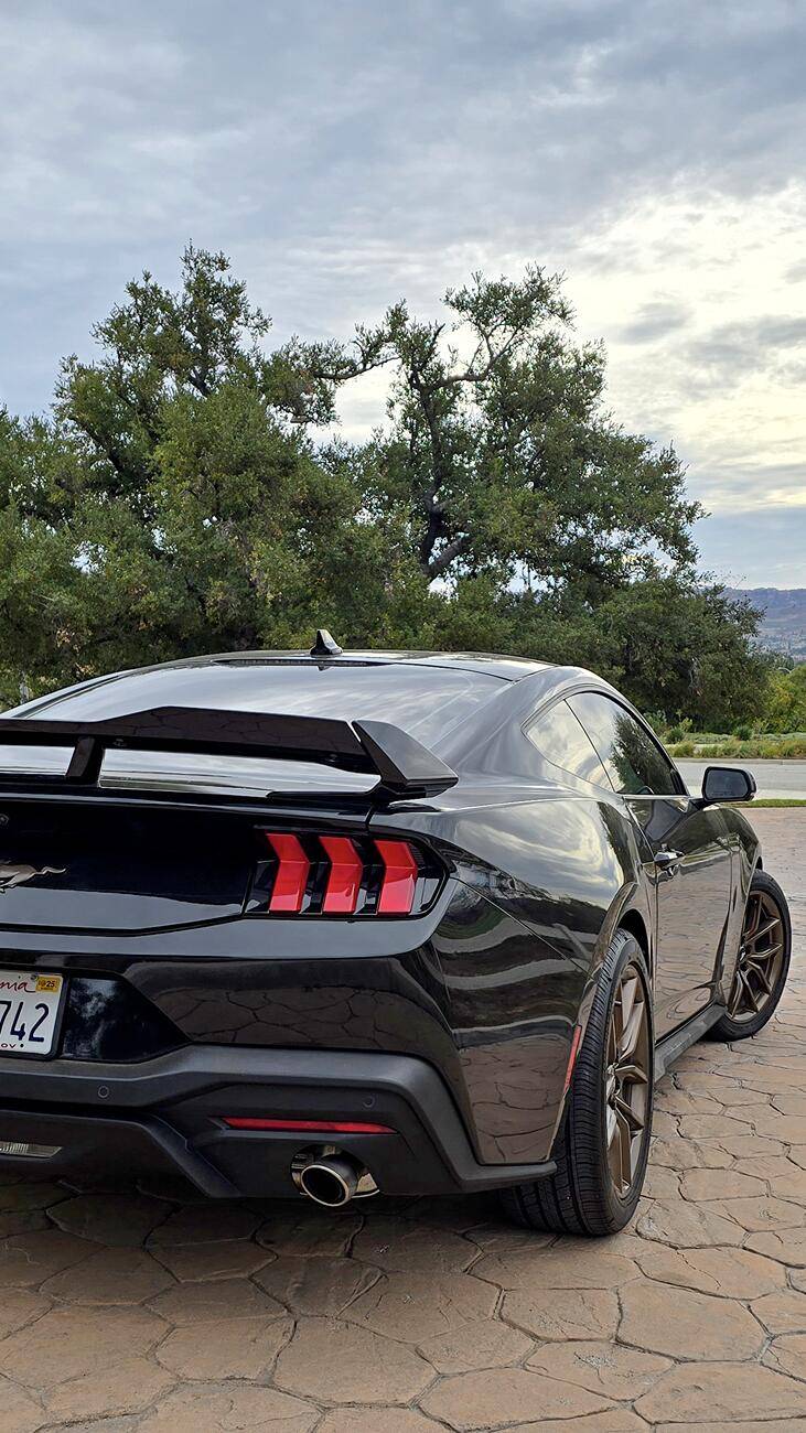 S650 Mustang Viking's Black EcoBeast Build Narrow_back