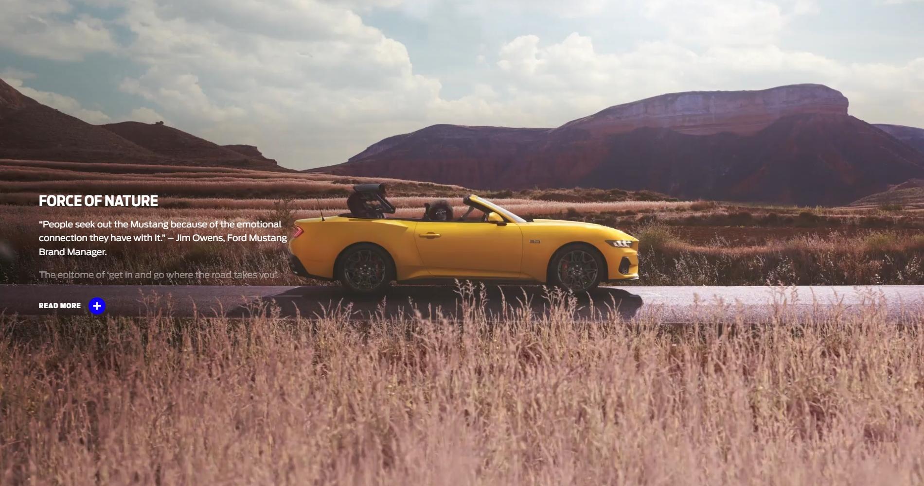 S650 Mustang Official YELLOW SPLASH Mustang S650 Thread nature