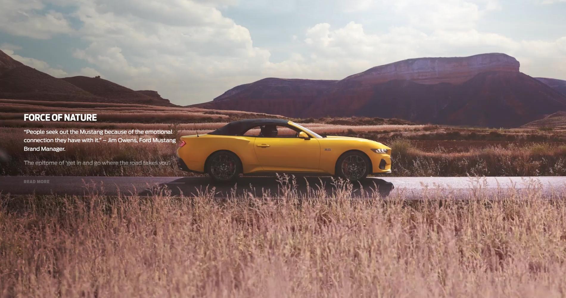S650 Mustang Official YELLOW SPLASH Mustang S650 Thread nature0