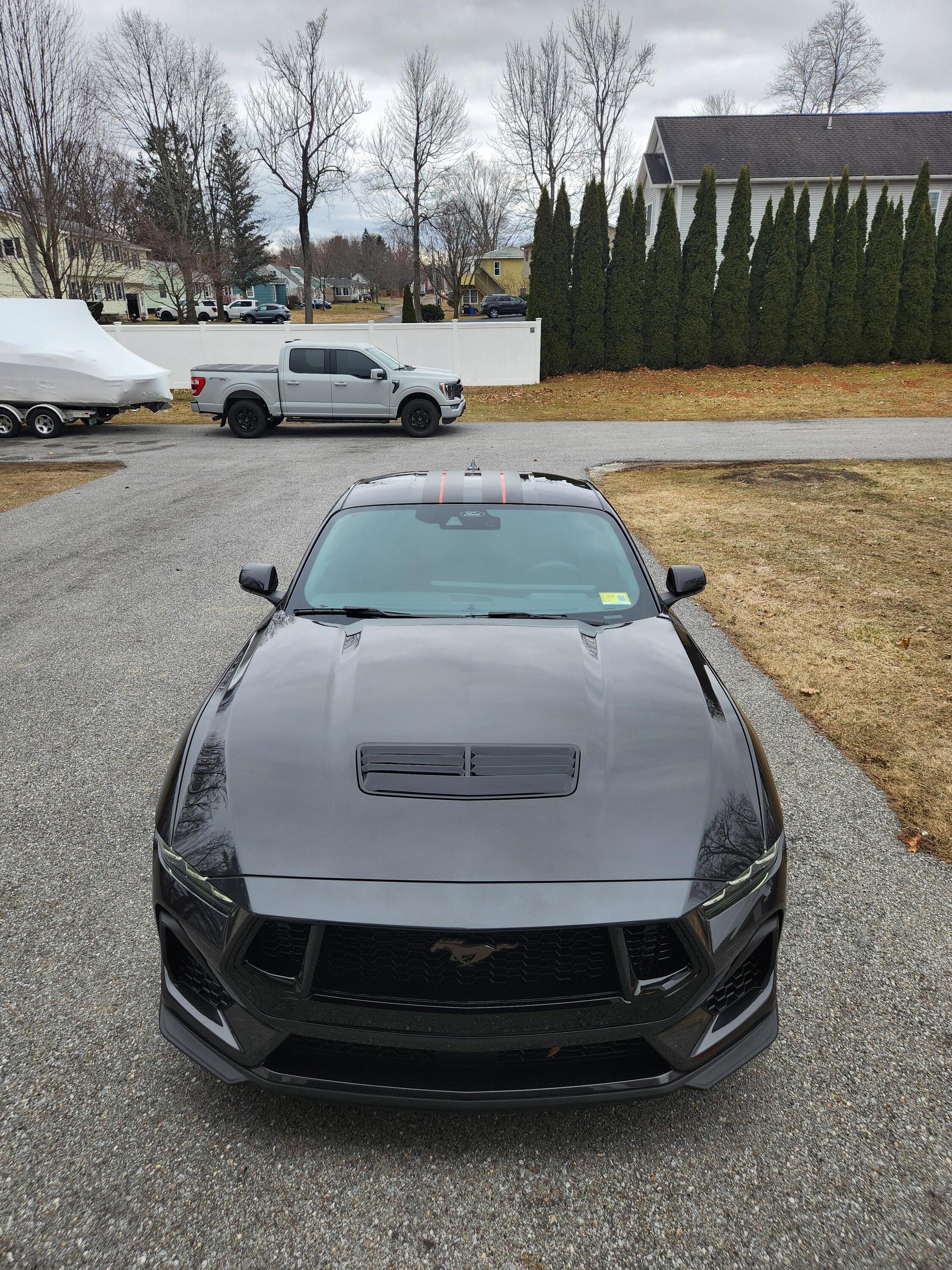 S650 Mustang What did you do to your S650 Mustang today?? 🙋🏻‍♂️ oKF0Mq6