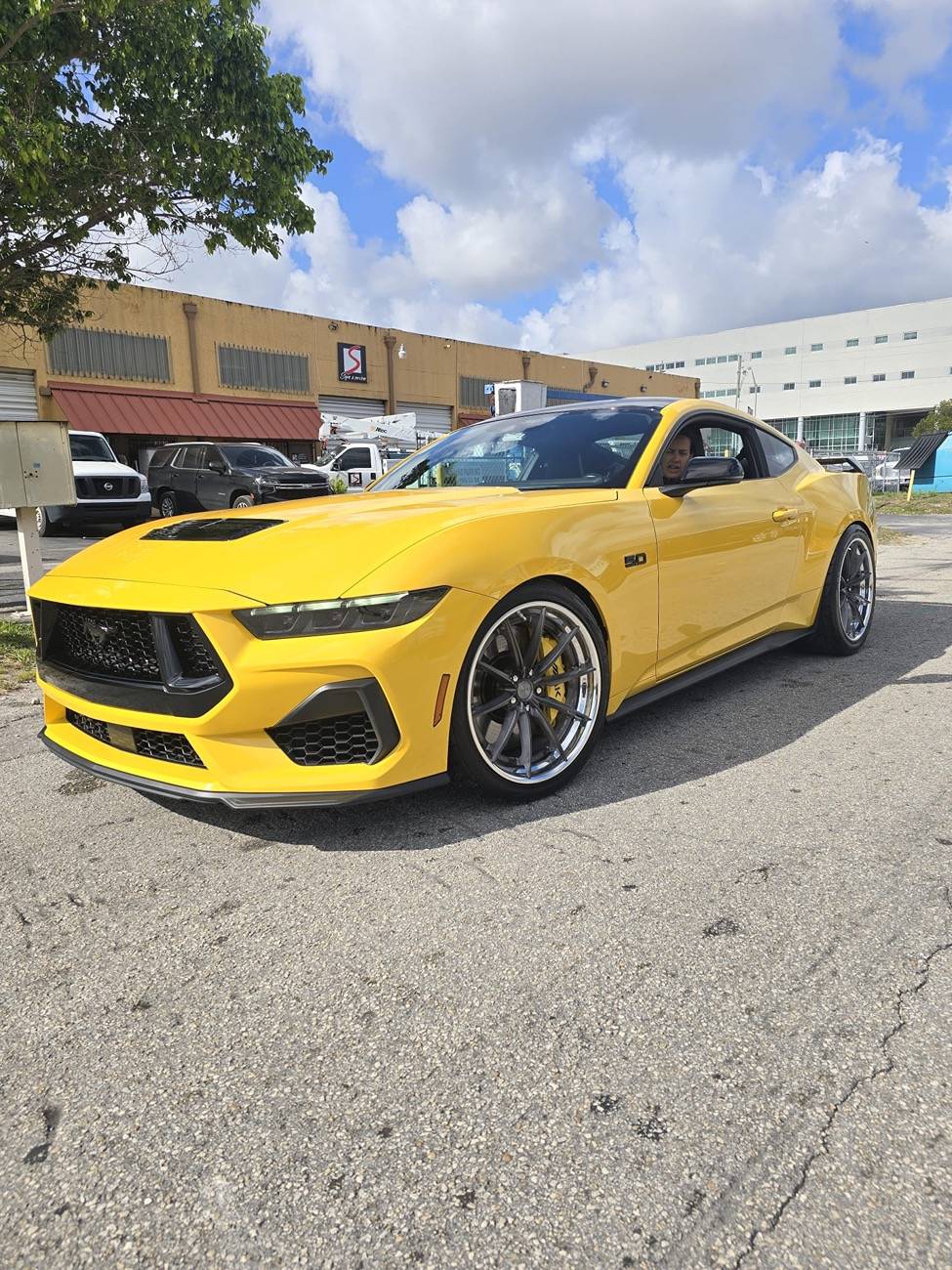 S650 Mustang Official YELLOW SPLASH Mustang S650 Thread PHOTO-2025-03-15-10-17-39