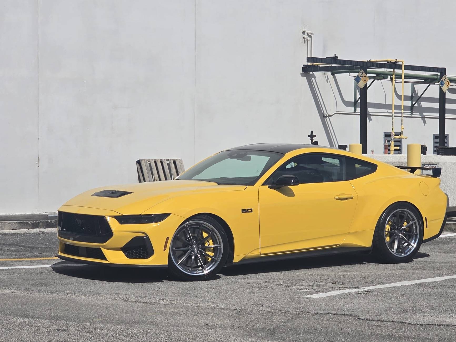 S650 Mustang Official YELLOW SPLASH Mustang S650 Thread PHOTO-2025-03-15-14-54-13