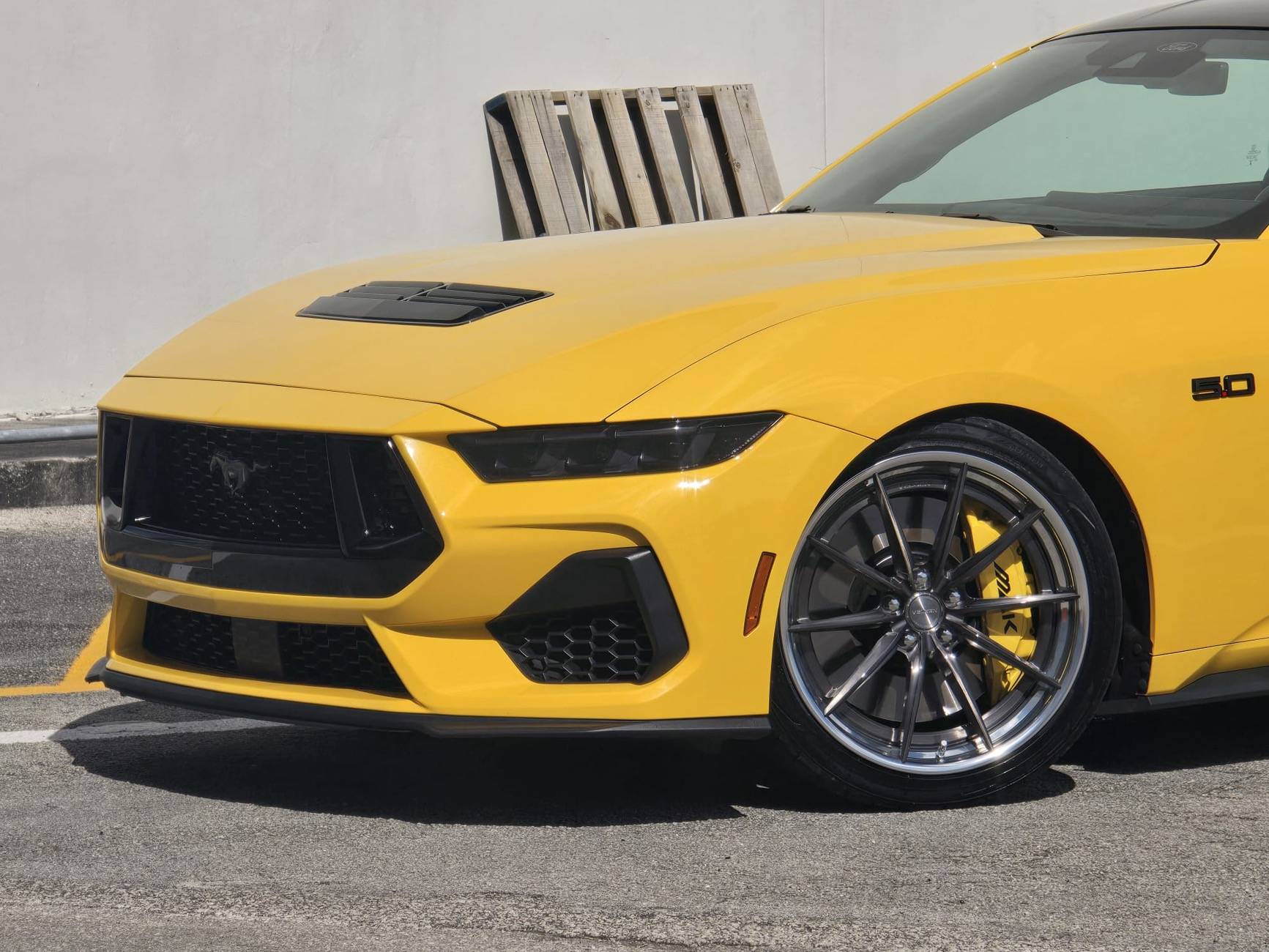 S650 Mustang Official YELLOW SPLASH Mustang S650 Thread PHOTO-2025-03-15-14-54-14