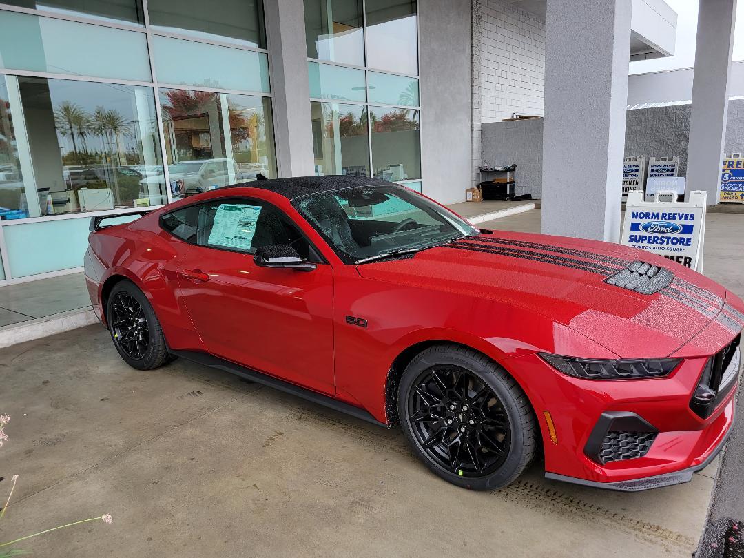 S650 Mustang Picked Up Faux Horse this Morning Photo 4