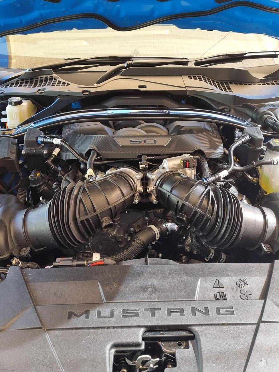 S650 Mustang Oil Air Separator Install pro-Fe1czeX