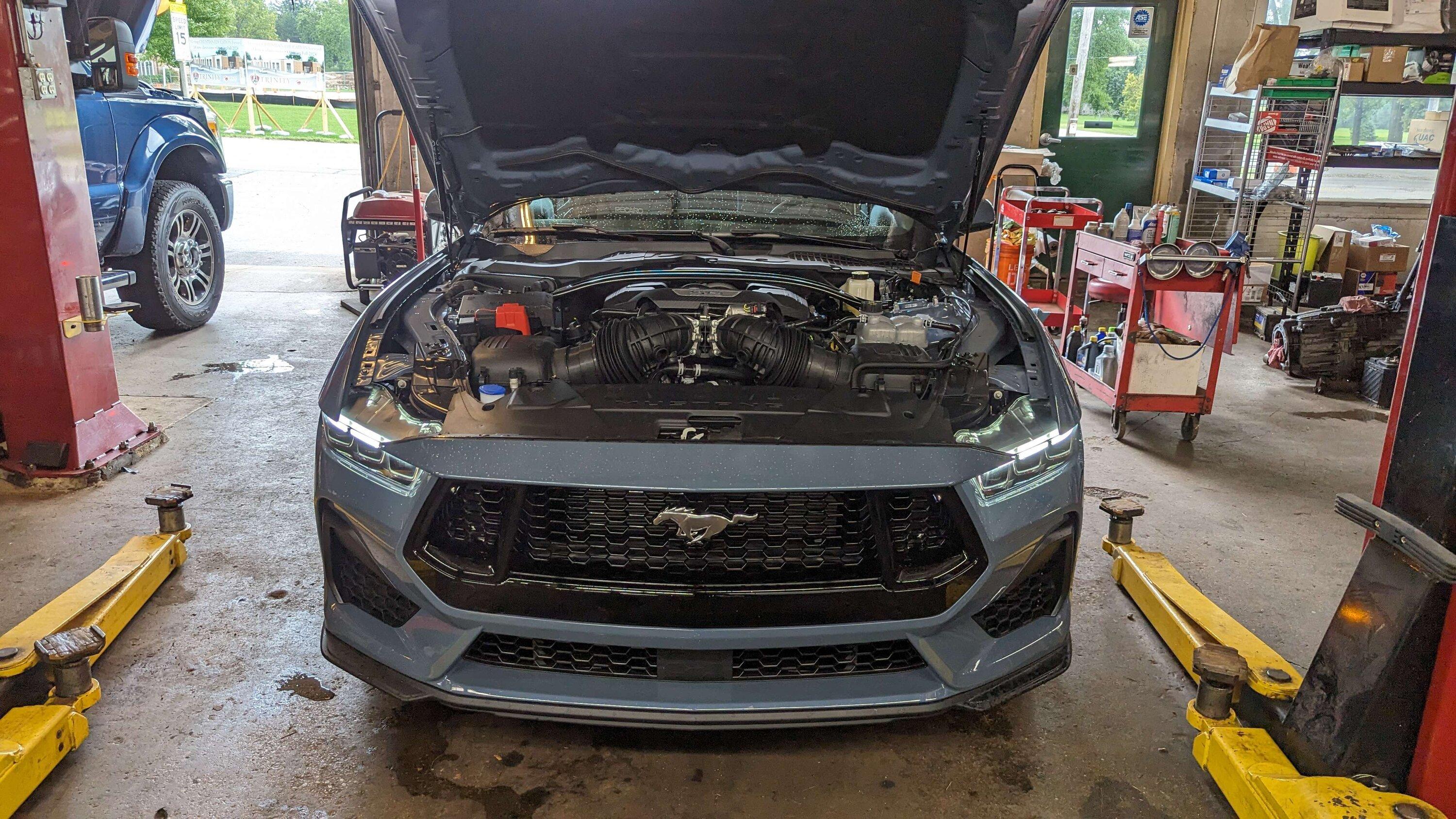 S650 Mustang Official VAPOR BLUE Mustang S650 Thread PXL_20230906_221914071